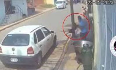 Asesino del perrito ya fue identificado