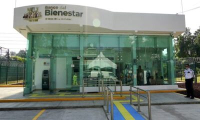 Frente a Banco del Bienestar es atropellado adulto mayor