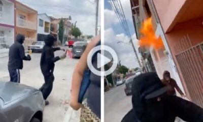 Atacan casa de niña que mató a gato