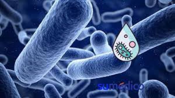 Varias víctimas ya cobró bacteria come carne