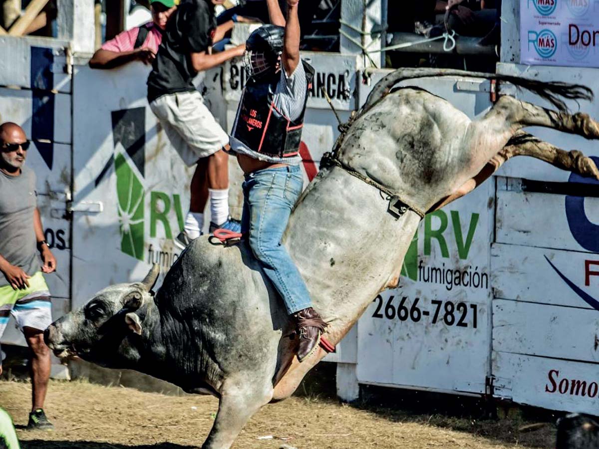 Desaparecen caporales que transportaban toros