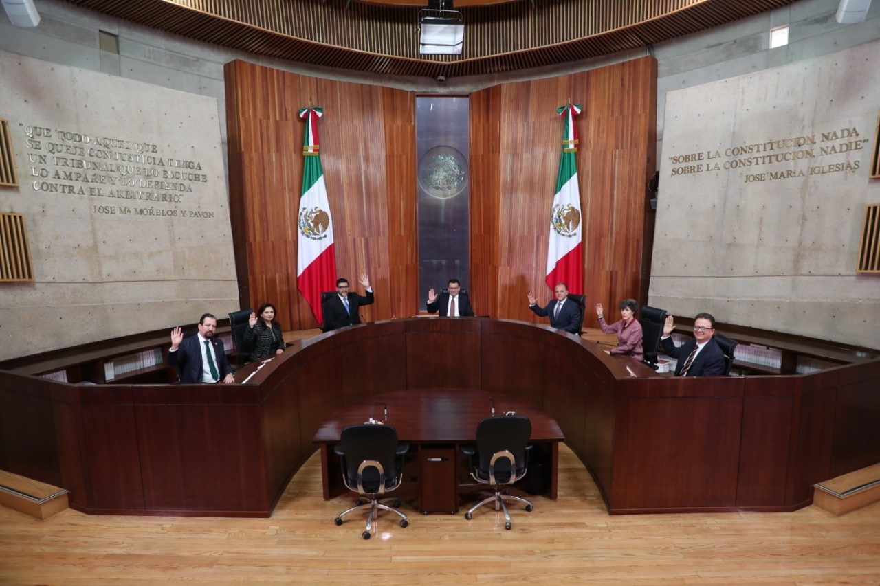 Magistrado contra el chapulineo político
