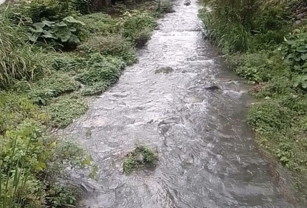 Contaminados con aguas negras ríos de Jaltocán