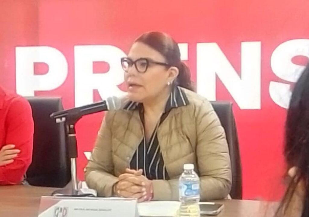 Mayka Ortega pide se investiguen permisos de El Chamizal