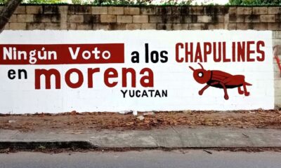 Morenistas no trabajaran con candidatos chapulines