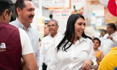 Morena en Guanajuato pide protección a candidatos