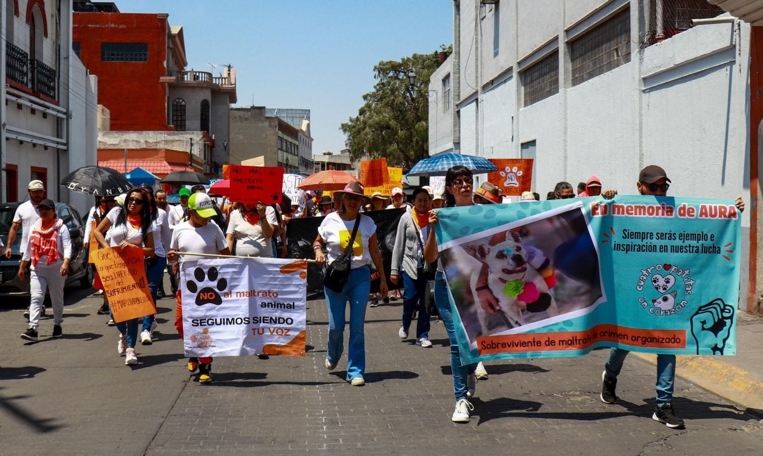 Marcha contra el maltrato animal