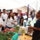 Alhely Medina recorrió el mercado de Zimapán