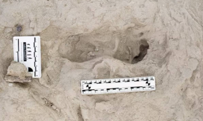 Huellas fósiles revelan convivencia de homínidos en Kenia hace 1.5 millones de años