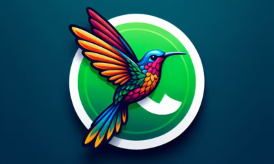 Activa el modo colibrí en WhatsApp.