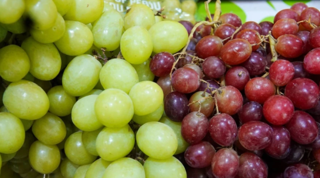 Año Nuevo: Uva se vende hasta en 179 pesos el kilo