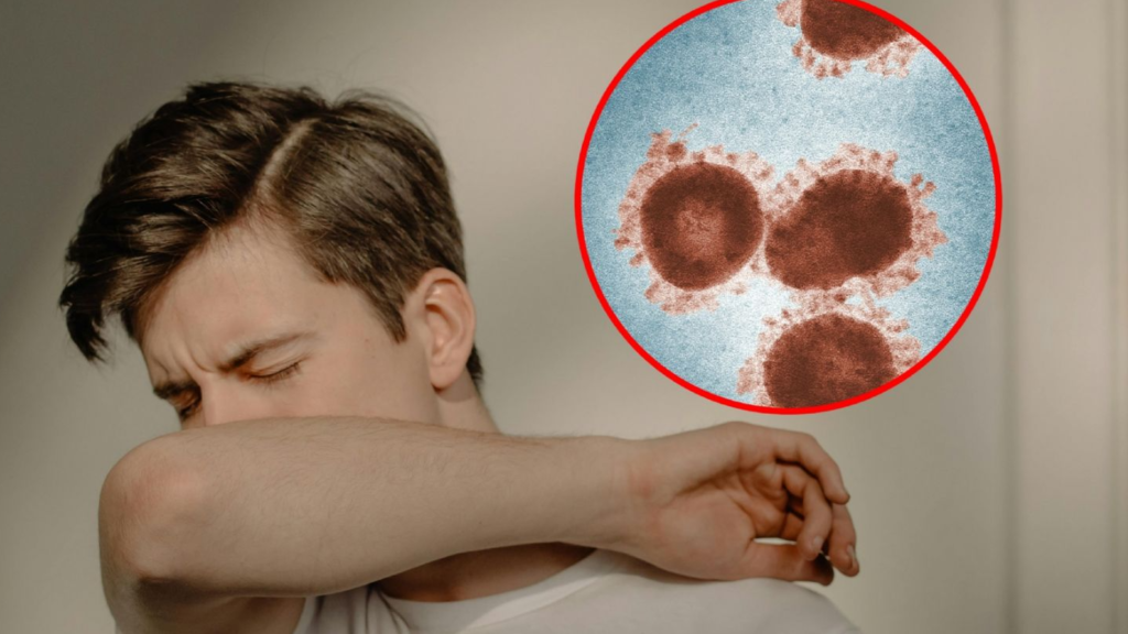 Casos confirmados de Metapneumovirus HMPV en México HOY, 10 de enero