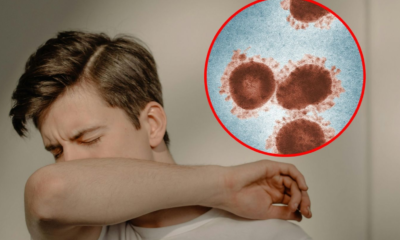 Casos confirmados de Metapneumovirus HMPV en México HOY, 10 de enero