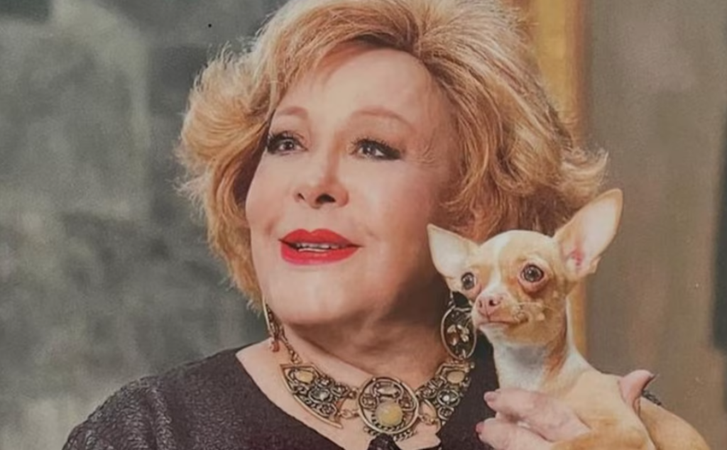 Silvia Pinal habría heredado parte de su fortuna a su perrita Chihuahua