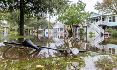 Tormenta invernal deja al menos nueve muertos en EUA
