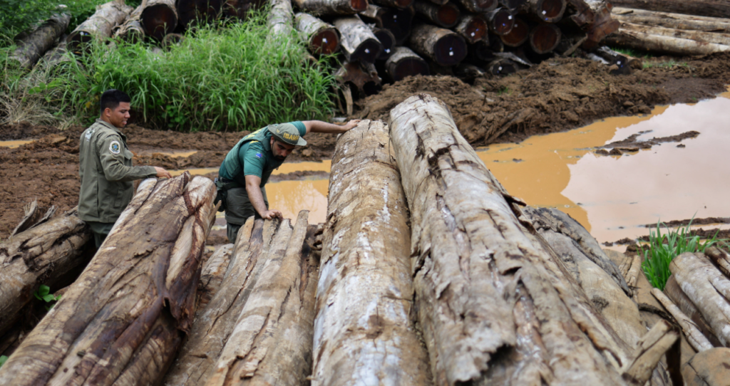 La construcción de la Avenida Liberdade, en Belén, ha generado críticas de ambientalistas y locatarios por daños en una zona protegida del Amazonas. Una carretera de cuatro carriles construida a través de miles de hectáreas de selva amazónica protegida en Belém, Brasil, destinada a facilitar el tránsito hacia la ciudad durante la Cumbre Climática COP30, está generando fuertes críticas entre ambientalistas y comunidades locales. El proyecto, llamado Avenida Liberdade, forma parte de una amplia renovación urbana emprendida por el gobierno del estado de Pará. Autoridades locales aseguran que esta infraestructura será "sostenible" e incluye características ecológicas como cruces especiales para animales, ciclovías e iluminación solar. Sin embargo, imágenes captadas por drones revelan grandes extensiones de bosque talado y troncos apilados a lo largo de los más de 13 kilómetros que tendrá esta nueva vía. Claudio Verequete, residente local cuya fuente principal de ingresos era la recolección de bayas de açaí, asegura que la construcción destruyó su modo de vida sin que haya recibido compensación alguna. "Todo fue destruido", afirma Verequete en entrevista con la BBC. "Nuestra cosecha ya ha sido cortada. Ya no tenemos ese ingreso para apoyar a nuestra familia". Ahora vive preocupado por la posibilidad de futuras expropiaciones en la zona: "Nuestro miedo es que algún día alguien venga aquí y diga: 'Aquí hay algo de dinero. Necesitamos esta área para construir una estación de servicio o construir un almacén. Y luego tendremos que irnos".