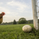 Identifican a 39 jóvenes por usar una gallina como un balón de fútbol en España
