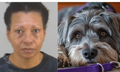 Mujer ahoga a su perro antes de tomar su vuelo en aeropuerto de Orlando