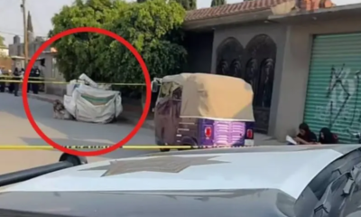 Mujer tira feto de 6 meses de gestación a la basura y la detienen en Tultitlán