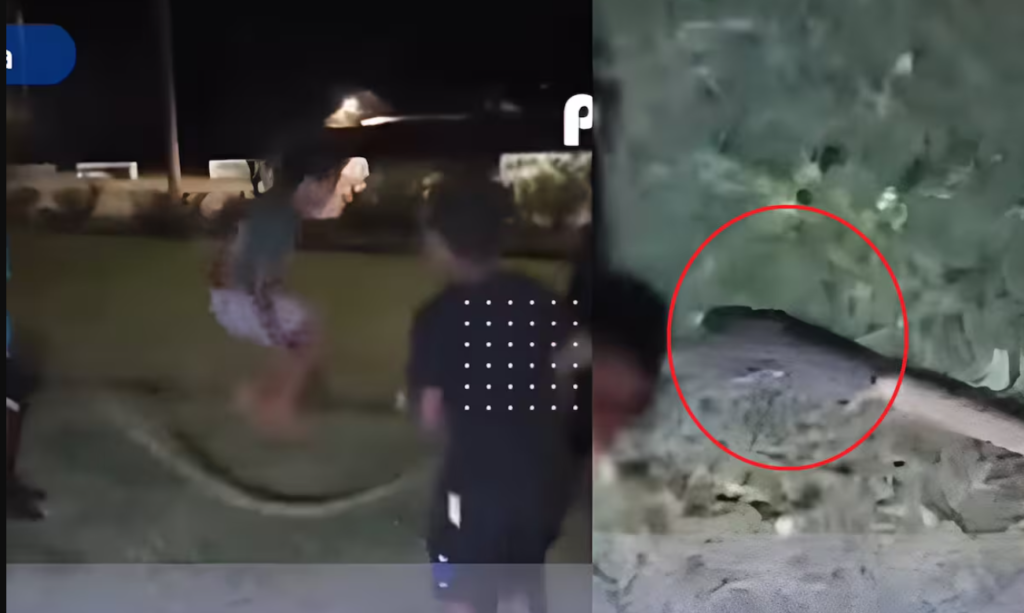 Niños juega con pitón de cabeza negra como cuerda; video indigna a redes