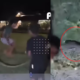 Niños juega con pitón de cabeza negra como cuerda; video indigna a redes