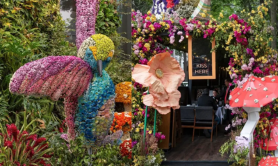 Arranca Sexta edición del Festival de las Flores y Jardines 2025 en Polanco, CDMX