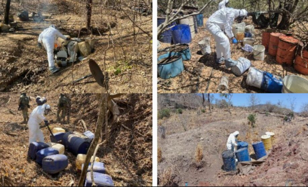 Desmantelan 19 narcolaboratorios en tres municipios de Sinaloa