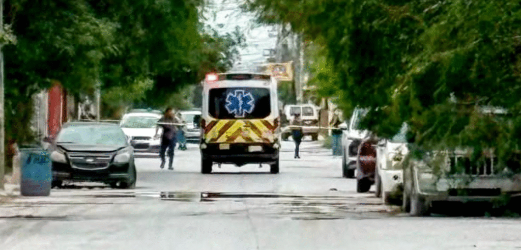 Hombre muere tras ataque de abejas africanizadas en Reynosa