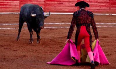 Toreros buscan un amparo contra la prohibición de corridas con sangre en Ciudad de México
