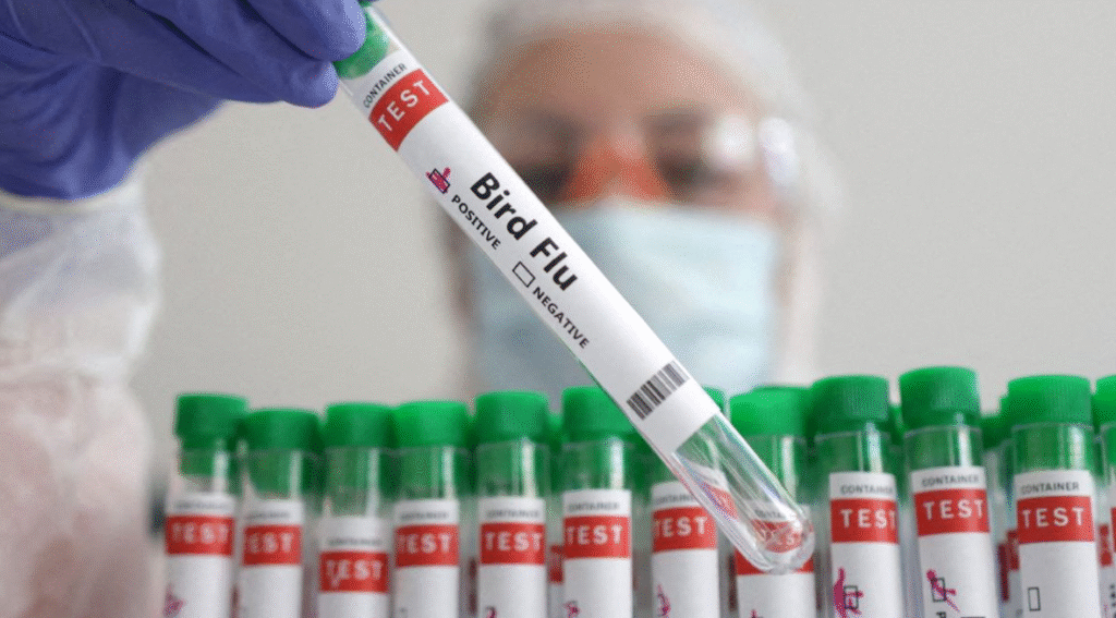 Alerta por salto de enfermedades animales a nuevas especies y lugares inalterados