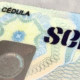 Simplifica SEP el trámite de cédulas profesionales; cédulas físicas mantienen su vigencia