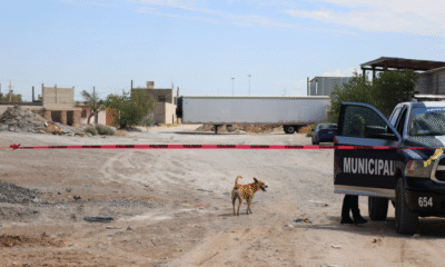 Detienen a dueño de crematorio en Cd. Juárez tras hallazgo de 383 cuerpos