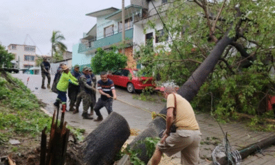 Reinician actividades en Guerrero y Oaxaca tras paso de Erick