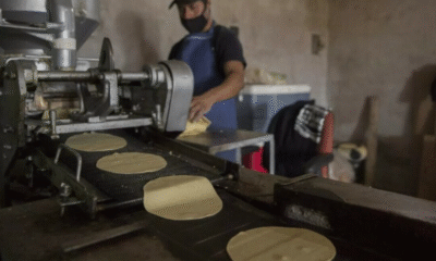 Gobierno lanza convocatoria para Acuerdo Nacional Maíz-Tortilla