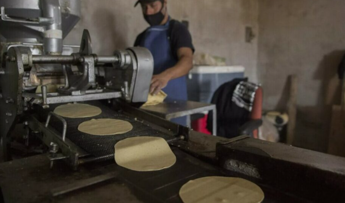 Gobierno lanza convocatoria para Acuerdo Nacional Maíz-Tortilla