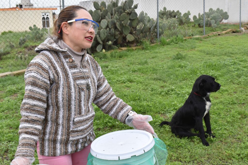 ITESA inicia proyecto lombricomposta a partir de heces caninas