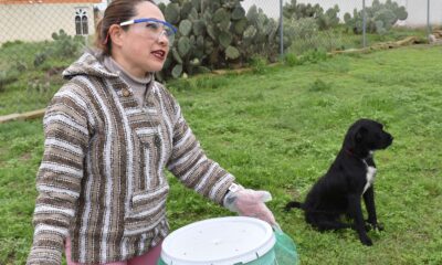 ITESA inicia proyecto lombricomposta a partir de heces caninas
