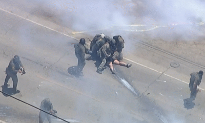 Realizan gran redada contra migrantes en granja de cannabis en California