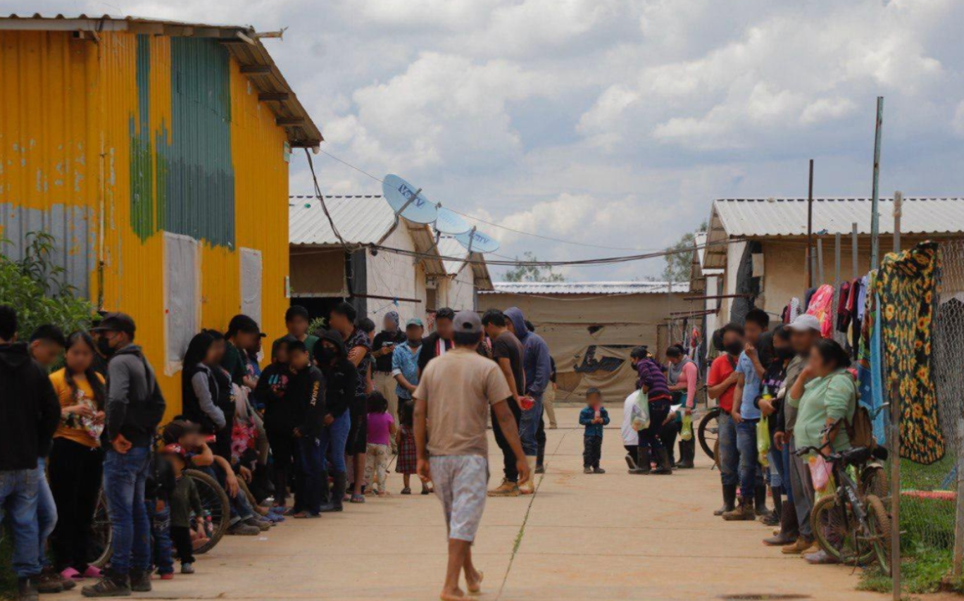 Rescatan a 700 víctimas de explotación laboral en rancho de Guanajuato