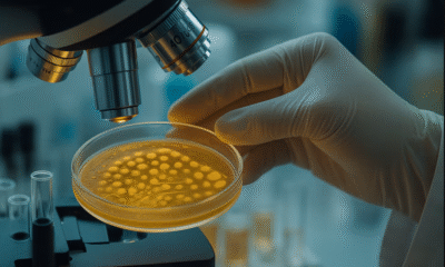 Alerta por brote de bacteria Legionella en Nueva York