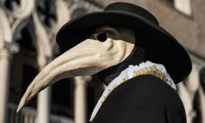 Detectan caso de peste bubónica en California