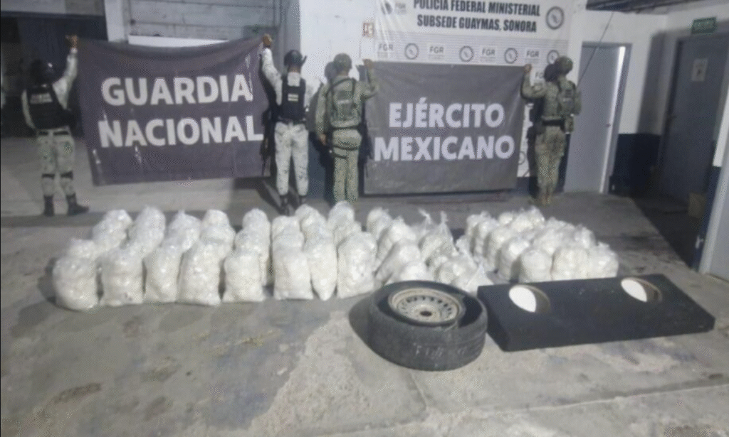 Fuerzas federales decomisan media tonelada de narcóticos en Sonora