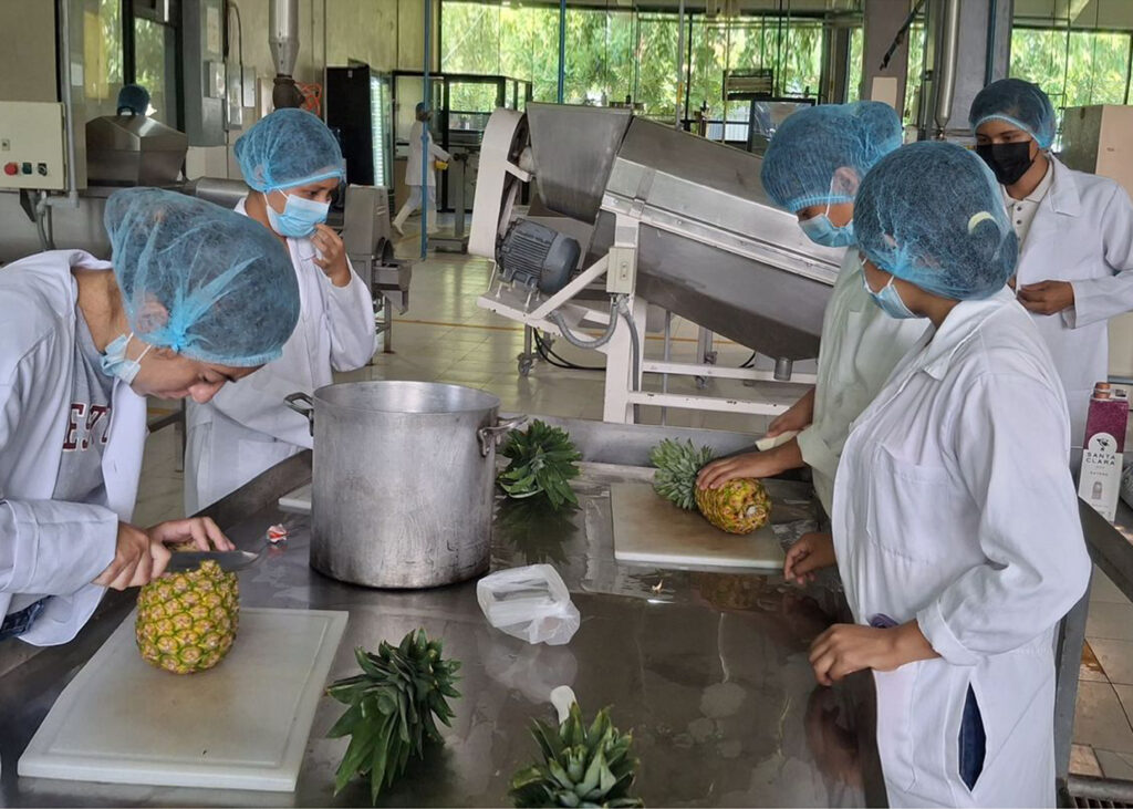 Impulsa UTHH formación práctica en Ingeniería en Alimentos
