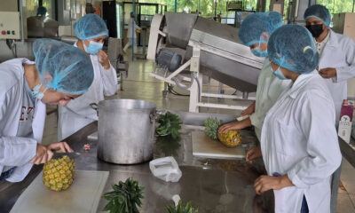 Impulsa UTHH formación práctica en Ingeniería en Alimentos