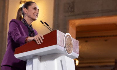 México prohíbe 35 plaguicidas por su daño a la salud y al medio ambiente