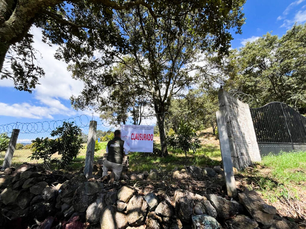 Por cambio de uso de suelo ilegal, Profepa clausura predio en zona de influencia de la Reserva de la Biosfera Mariposa Monarca