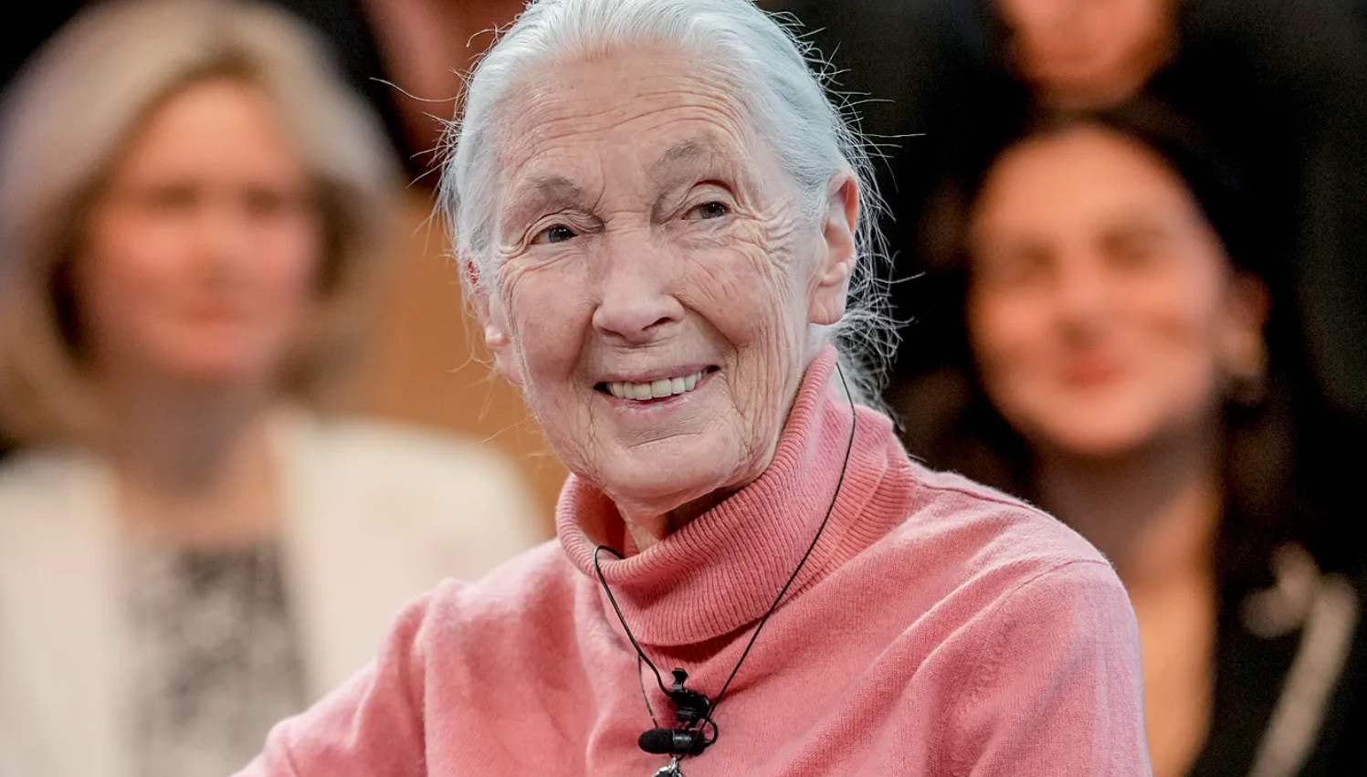 Fallece Jane Goodall, pionera en estudio de los chimpancés
