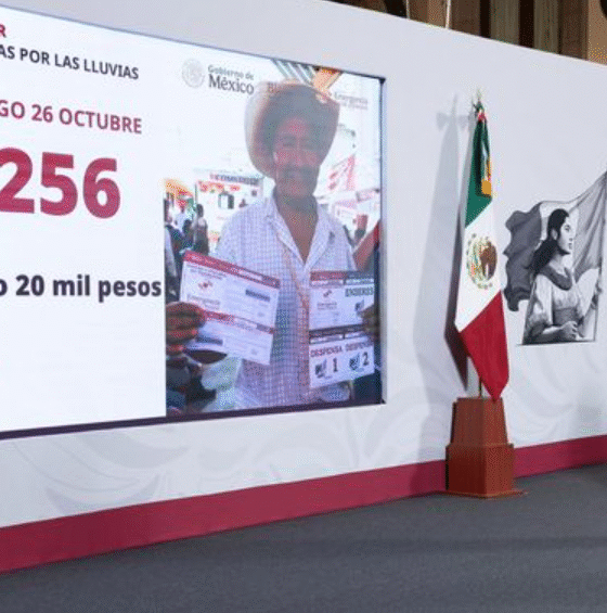 Gobierno de México: se han otorgado 70 mil 256 apoyos a personas afectadas por las lluvias