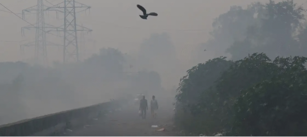 Niebla tóxica afecta la capital de India
