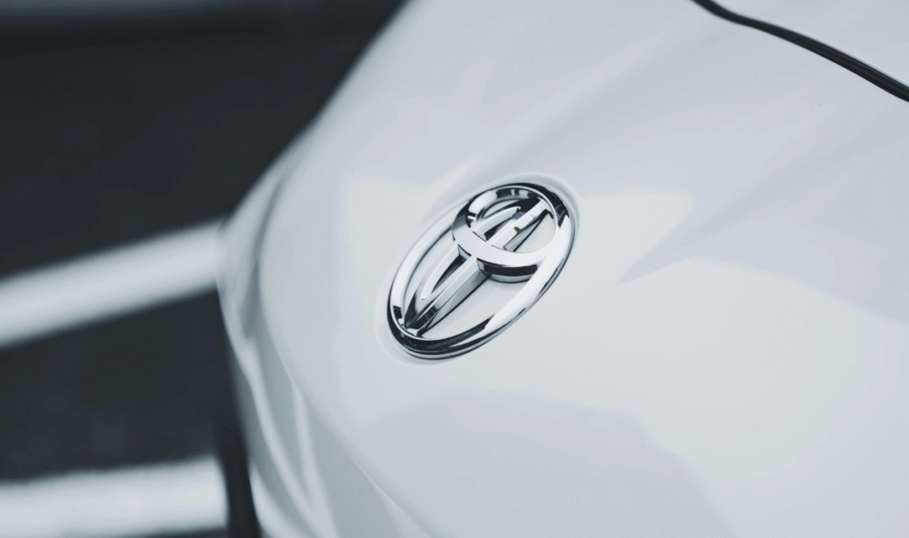 Con la colaboración de WWF México, Profepa acredita el primer Comité de Vigilancia Ambiental Participativa de buzos